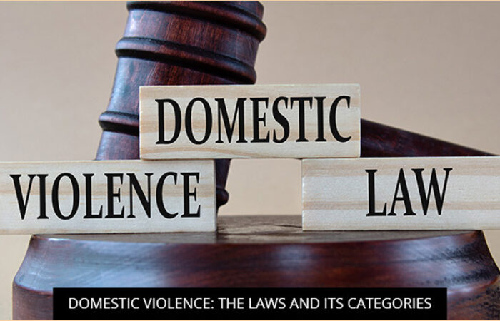 Domestic Violence Laws